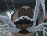 images/arachnophobie_1.jpg