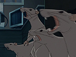 images/enrages_1.jpg